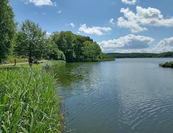 K&ouml;lpinsee